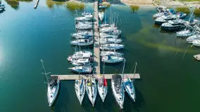 Poranek w tle dla Mew, sierpień 2023 r. - zdjęcie 9