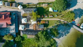 Poranek w tle dla Mew, sierpień 2023 r. - zdjęcie 11