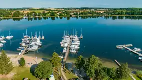 Poranek w tle dla Mew, sierpień 2023 r. - zdjęcie 22