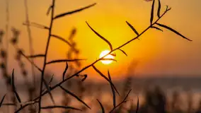 Wschód słońca we wsi Pożarki, wrzesień 2023 r. - zdjęcie 44