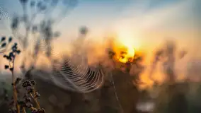 Wschód słońca we wsi Pożarki, wrzesień 2023 r. - zdjęcie 7