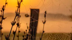 Wschód słońca we wsi Pożarki, wrzesień 2023 r. - zdjęcie 18