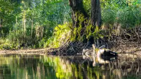 Piękno Sapiny w okolicach Pozezdrza, wrzesień 2023 r. - zdjęcie 25