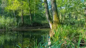 Piękno Sapiny w okolicach Pozezdrza, wrzesień 2023 r. - zdjęcie 27