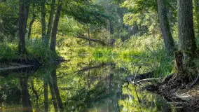 Piękno Sapiny w okolicach Pozezdrza, wrzesień 2023 r. - zdjęcie 37