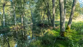 Piękno Sapiny w okolicach Pozezdrza, wrzesień 2023 r. - zdjęcie 32