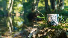 Piękno Sapiny w okolicach Pozezdrza, wrzesień 2023 r. - zdjęcie 38