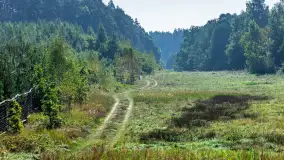 Piękno Sapiny w okolicach Pozezdrza, wrzesień 2023 r. - zdjęcie 43