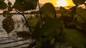 Zachód słońca nad jeziorem Mój, październik 2023 r. - zdjęcie 40