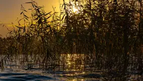 Zachód słońca nad jeziorem Mój, październik 2023 r. - zdjęcie 35