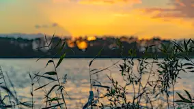 Zachód słońca nad jeziorem Mój, październik 2023 r. - zdjęcie 23