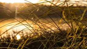 Wschód słońca nad jeziorem Iławki - zdjęcie 27