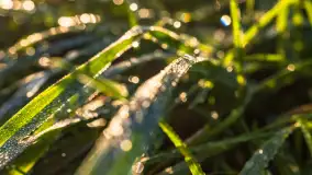 Wschód słońca nad jeziorem Iławki - zdjęcie 21