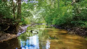 Miłośnicy Mazur - magia regionu na zdjęciach Marty Sotnik - zdjęcie 22