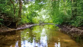 Miłośnicy Mazur - magia regionu na zdjęciach Marty Sotnik - zdjęcie 8