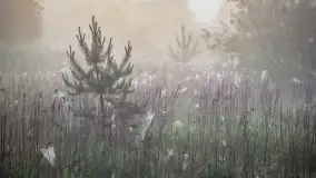 Miłośnicy Mazur - magia regionu na zdjęciach Marty Sotnik - zdjęcie 5