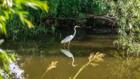 Miłośnicy Mazur - magia regionu na zdjęciach Marty Sotnik - zdjęcie 9