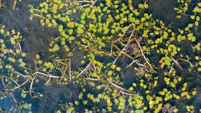 Jesień nad jeziorem Iławki, końcówka października 2023 r. - zdjęcie 29