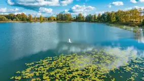 Jesień nad jeziorem Iławki, końcówka października 2023 r. - zdjęcie 27