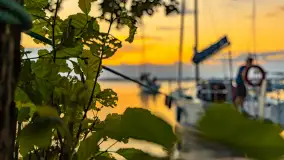 Sierpniowy zachód słońca nad Darginem, Sun Bila Pieczarki - zdjęcie 6