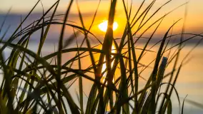 Sierpniowy zachód słońca nad Darginem, Sun Bila Pieczarki - zdjęcie 12