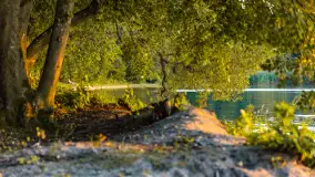 Sierpniowy zachód słońca nad Darginem, Sun Bila Pieczarki - zdjęcie 10