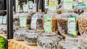 46 Międzynarodowy Jarmark Folkloru 2023 - fotorelacja - zdjęcie 40