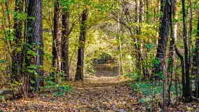 Złota mazurska jesień w Mrągowie nad jeziorem Juno - zdjęcie 15