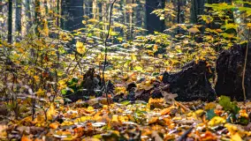 Złota mazurska jesień w Mrągowie nad jeziorem Juno - zdjęcie 12