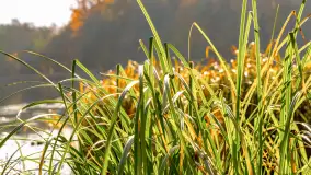 Złota mazurska jesień w Mrągowie nad jeziorem Juno - zdjęcie 21