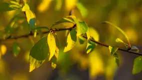 Jesień nad jeziorem Iławki, październik 2023 r. - zdjęcie 11