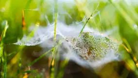 Przyrodniczy wschód słońca nad jeziorem Mażańskie - zdjęcie 20