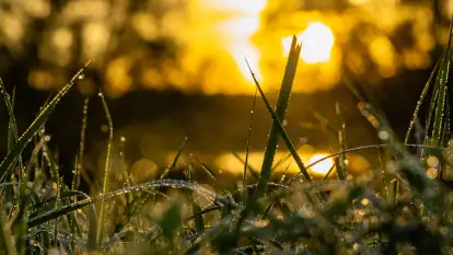 Przyrodniczy wschód słońca nad jeziorem Mażańskie