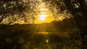 Przyrodniczy wschód słońca nad jeziorem Mażańskie - zdjęcie 9