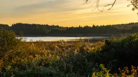 Przyrodniczy wschód słońca nad jeziorem Mażańskie - zdjęcie 12