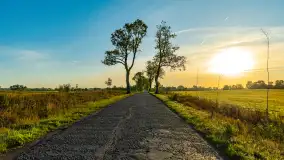 Przyrodniczy wschód słońca nad jeziorem Mażańskie - zdjęcie 3