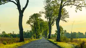 Przyrodniczy wschód słońca nad jeziorem Mażańskie - zdjęcie 11