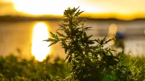 Zachód słońca nad jeziorem Bełdany, Mazurski Raj - zdjęcie 25