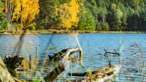 Magia mazurskiej jesieni nad jeziorem Wesołek, listopad 2023 r. - zdjęcie 8