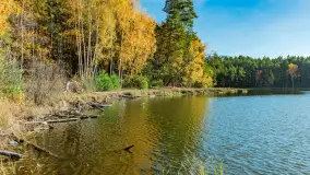 Magia mazurskiej jesieni nad jeziorem Wesołek, listopad 2023 r. - zdjęcie 49