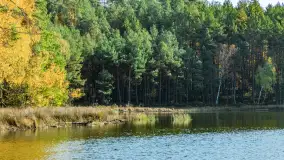 Magia mazurskiej jesieni nad jeziorem Wesołek, listopad 2023 r. - zdjęcie 32