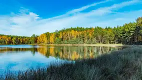 Magia mazurskiej jesieni nad jeziorem Wesołek, listopad 2023 r. - zdjęcie 26