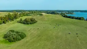 Żurawi sejmik na początku września przy jeziorze Tajty - zdjęcie 9