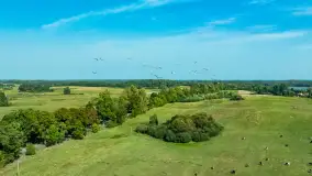 Żurawi sejmik na początku września przy jeziorze Tajty - zdjęcie 11
