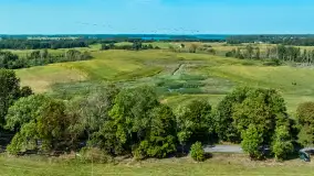Żurawi sejmik na początku września przy jeziorze Tajty - zdjęcie 5