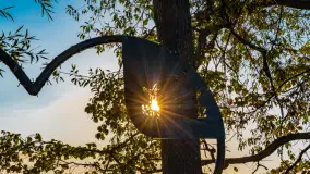 Wrześniowy zachód słońca nad jeziorem Dargin - zdjęcie 18