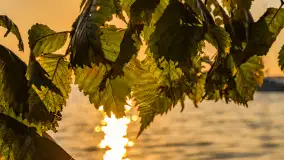 Wrześniowy zachód słońca nad jeziorem Dargin - zdjęcie 12