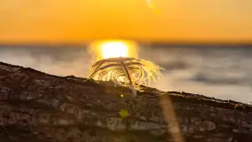 Wrześniowy zachód słońca nad jeziorem Dargin - zdjęcie 21