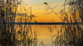 Wschód słońca nad jeziorem Dobskim, listopad 2023 r. - zdjęcie 5