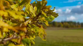 Fotograficzne podsumowanie jesieni 2023 cz. I - zdjęcie 50